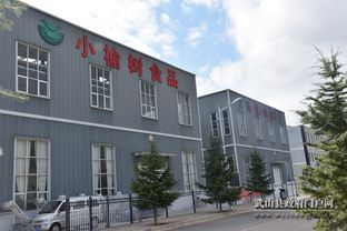 甘肅第一個(gè)水果玉米加工廠在武山建成投產(chǎn)